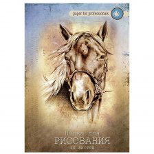 Папка для рисования А4 10л., Проф-Пресс, цветная обложка, 120г/м2, "Лошадь "