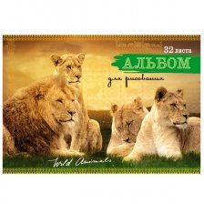 Альбом для рисования А4, 32л."Прекрасные львы", кбс, обл-картон хромэрзац, блок офсет