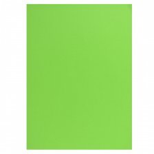 Цветная бумага А4, Апплика "Ярко-зеленый", однотонная тонир., 10лист., пл.80 г/м2