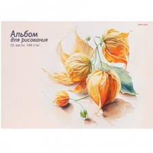Альбом для рисования А4 32л., Проф-Пресс, КБС, мелованная обложка, блок офсет, 100г/м2, "Оранжевое растение"