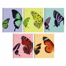 Тетрадь 48л., А5, клетка, Канц-Эксмо "Butterflies", гребень, мелованный картон, выб.лак, глиттер, перламутр, 5 дизайнов