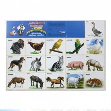 Плакат А2 Миленд "Домашние животные и птицы"