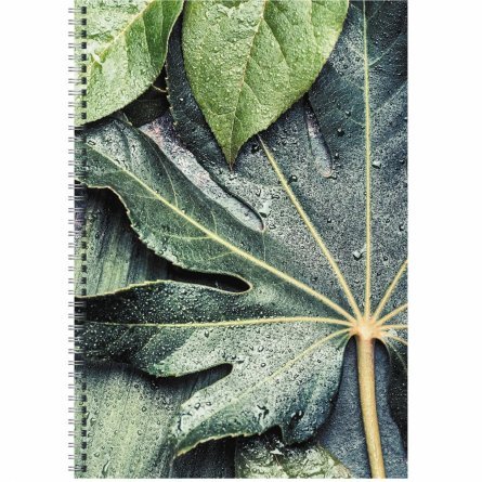 Тетрадь 80л., А4, клетка, Канц-Эксмо "Листья", спираль, мелованный картон фото 1