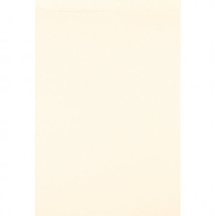 Скетчбук А5 48л., "Лев", 100 г/м2, Миленд, КБС, мелованный картон, жёсткая подложка, белый офсет фото 2