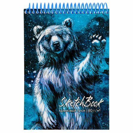 Скетчбук А5 80л., "Бурый медведь", 100 г/м2, Проф-Пресс, спираль, целлюлозный картон, жёсткая подложка, белый офсет фото 1