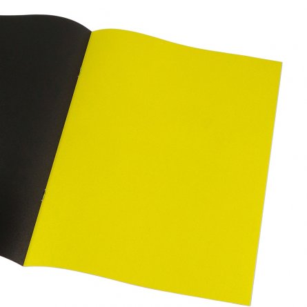 Бумага цветная Проф-Пресс, А4, одностороняя, немелованный, 16 листов, 8 цветов, скрепка, "Суперпесик" фото 2