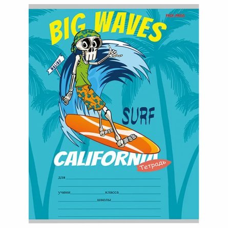 Тетрадь 12л., косая линия, Проф-Пресс, скрепка, мелованная обложка, "Клевый серфинг", 5 дизайнов в спайке фото 2