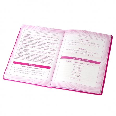 Дневник школьный Alingar 1-11 кл., 48л., 7БЦ, иск.кожа, тиснение, "Flamingo Yellow" фото 6