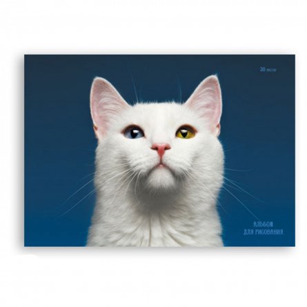 Альбом для рисования 30л  А4 "Необыкновенная кошка" гребень, мел., картон, обл фото 1