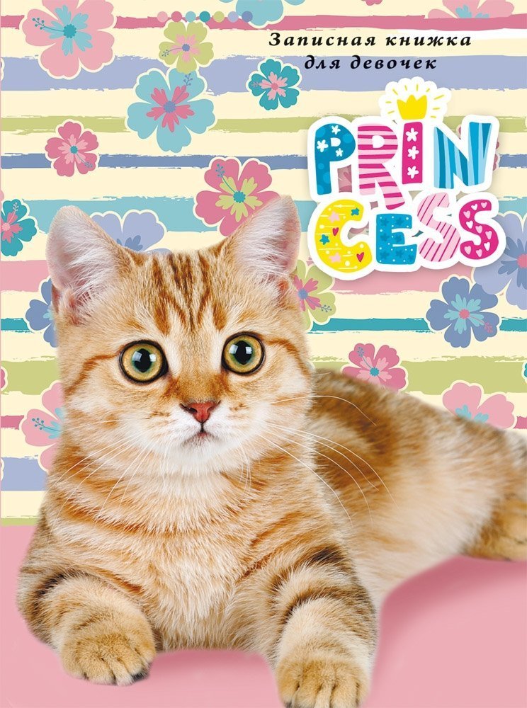 Котики в линию 5 класс 2024 ответы. Котики в линию 5 класс 2024 ответы. Котики в линию 5 класс 2024 ответы. Тетрадь 18 листов линия юнландия котики. Тетрадки с котиками.