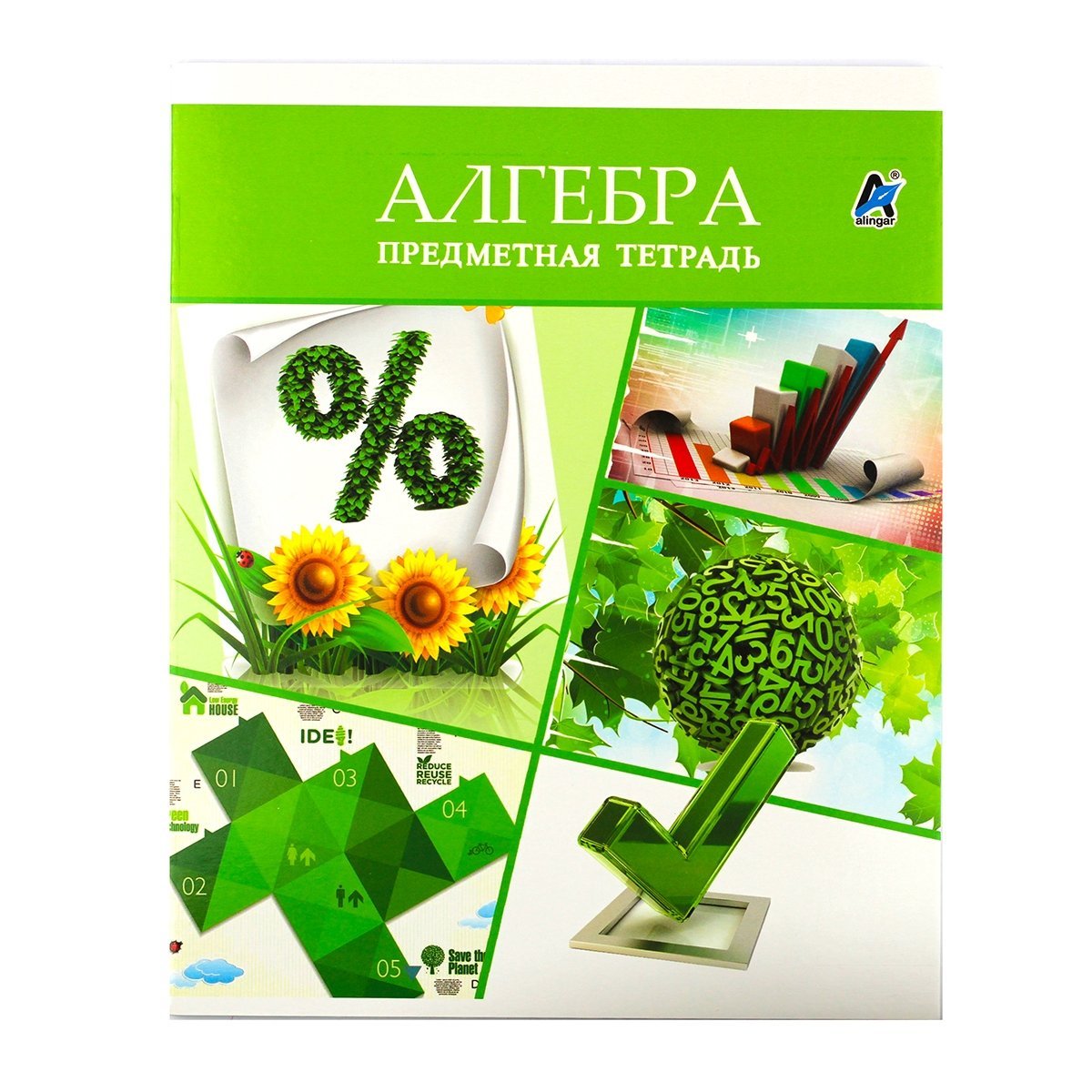 Алгебра 5. Предметная тетрадь по алгебре. Алгебра тетрадь предметная со справочным материалом. Предметная тетрадка по алгебре. Предметная тетрадь по биологии со справочным материалом.