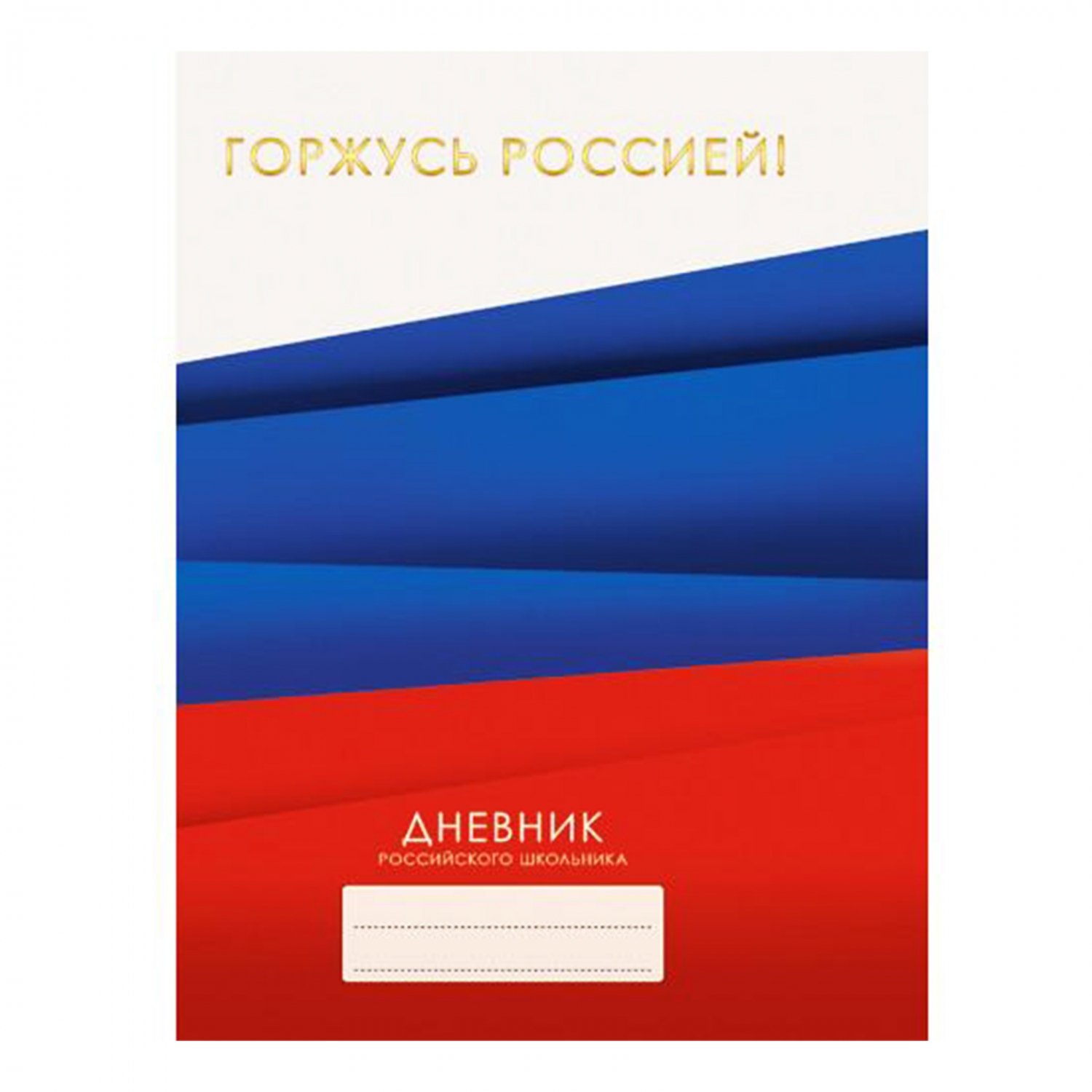Обложка для дневника. Дневник российского школьника. Читай город дневник школьный. Модные дневники для школы. Дневник школьный красивый.