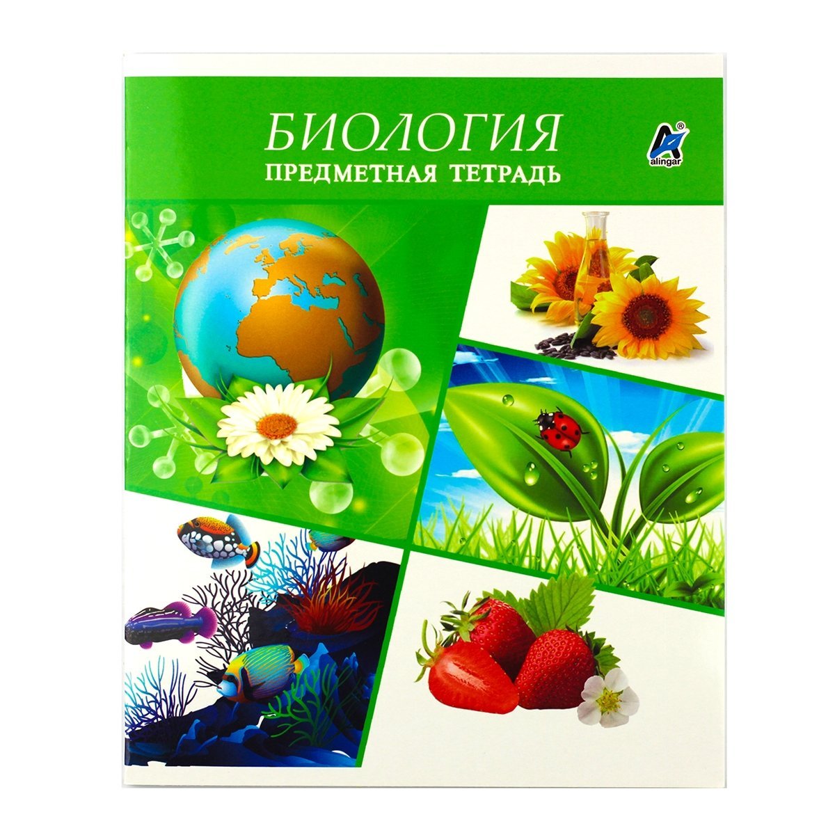 Тетрадь по биологии. Предметная тетрадь биология. Предметная тетрадка по биологии. Тетрадь по биологии тематическая предметная. Тетрадь "биология".