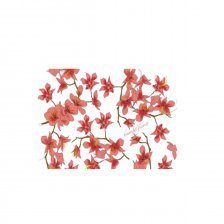 Тетрадь 80л., А5, клетка, "Beautiful flowers", кольца, ламинированный картон