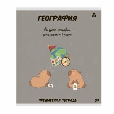 Тетрадь предметная  24л. А5 "География "  со справочным материалом, скрепка, мелованный картон (стандарт), блок офсет, Alingar "Капибара"