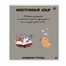 Тетрадь предметная  24л. А5 "Иностраннный  язык "  со справочным материалом, скрепка, мелованный картон (стандарт), блок офсет, Alingar "Капибара"