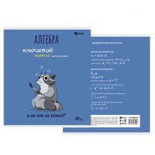Тетрадь предметная "Алгебра" А5 48л., клетка, со справ матер, скрепка, мелованный картон( стандарт), блок офсет, Alingar "Енотики"