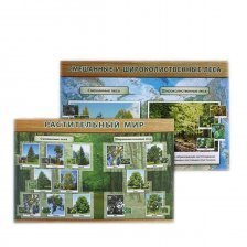 Комплект плакатов обучающих, А3, "Природные зоны: смешан. и широколиствен. леса, тайга" Учитель - Канц, картон, 8 плакатов, методическ. сопровожд.
