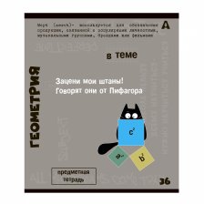 Тетрадь предметная  36л. А5 "Геометрия", клетка, со справочным материалом, скрепка, мелованный картон (стандарт), блок офсет, Alingar "Тема"