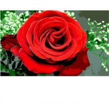 Картина по номерам Alingar, 20х30 см, 17 цветов, с акриловыми красками, холст, "Роза"