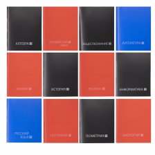 Комплект предметных тетрадей А5 48л., 12 предметов, со справ. матер, скрепка, цветная пластиковая обложка, блок офсет, Alingar "Стильная классика"