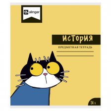 Тетрадь предметная  24л. А5 "История"  со справочным материалом, скрепка, мелованный картон (стандарт), блок офсет, Alingar "Смешные коты"