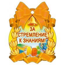 Медаль ТЦ Сфера "За стремление к знаниям!"
