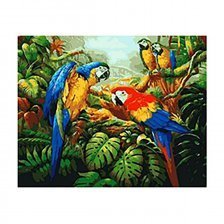 Картина по номерам Рыжий кот, 40х50 см, с акриловыми красками, дерево "Попугаи в джунглях"
