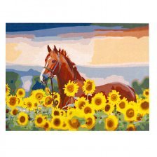 Картина по номерам Рыжий кот, 40х50 см, с акриловыми красками, холст, "Лошадь в подсолнухах"