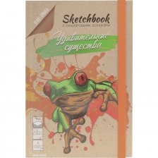 Скетчбук с пошаговыми эскизами А5 80л., "Удивительные существа" 80 г/м2,  Проф-Пресс, 7БЦ,  КБС, крафт обл., выб. лак,  резинка, блок крафт