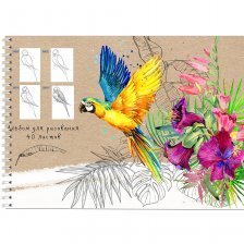 Альбом для рисования А4 40л., Проф-Пресс, на гребне, мелованная обложка, блок офсет, "Попугай и растения"
