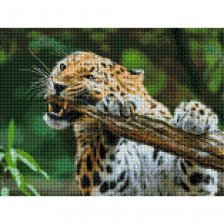 Алмазная мозаика Рыжий кот, без подрамника, на картоне, с полным заполнением, (класс.), 30х40 см, 27 цветов, "Свирепый леопард"