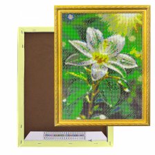 Алмазная мозаика Alingar, на подрамнике,  дизайн рамка, 30х40 см, "Утренняя роса на цветке"
