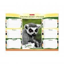 Расписание уроков А4, Erich Krause "Lemur Style"
