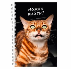 Тетрадь 80л., А5, клетка, Канц-Эксмо "Котики", гребень, мелованный картон, твин-лак