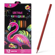 Карандаши цветные 12 цв., ZOOMI, пластиковые,  "Фламинго"