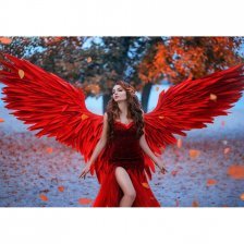 Картина по номерам Рыжий кот, 30х40 см, с акриловыми красками, холст, "Девушка-ангел с красными крыльями"