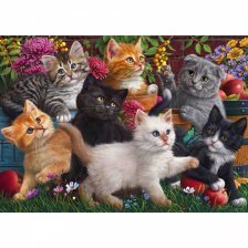 Алмазная мозаика Рыжий кот, с подрамником, с полным заполнением, (матов.), 30х40 см, 37 цветов, "Игривые котята в саду"