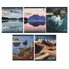 Тетрадь 36 л., А5, клетка, Alingar "Good nature", скрепка, офсет, мелованная бумага, 5 дизайнов в пленке т/у