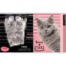 Тетрадь 48л., А5, клетка, Проф-Пресс "Красивые кошки-2", скрепка, мелованный картон