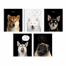 Тетрадь 48л., А5, клетка, Канц-Эксмо "Selfie dog", гребень, мелованный картон, твин-лак, 5 дизайнов