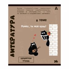 Тетрадь предметная  36л. А5 "Литература", линия, со справочным материалом, скрепка, мелованный картон (стандарт), блок офсет, Alingar "Тема"