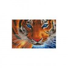 Алмазная мозаика Рыжий кот, без подрамника, на картоне, с частичным заполнением, (матов.), 20х30 см, 22 цвета, "Хищный взгляд тигра"