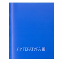 Тетрадь предметная "Литература"  А5 48л., линия, со справ матер, скрепка, синяя пластиковая обложка, блок офсет, Alingar "Стильная классика"