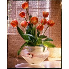 Картина по номерам Рыжий кот, 40х50 см, с акриловыми красками, холст, "Тюльпаны в прозрачной вазе"