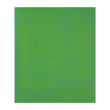 Тетрадь 48л., А5, клетка, Alingar "Green chameleon", скрепка, дизайнерский картон, глиттерное напыление, блок офсет, 100 % белизна