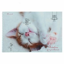 Альбом для рисования А4 20л., Канц-Эксмо, на гребне, мелованный картон, "Чудесный котенок"