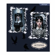 Тетрадь предметная "История" А5 48л., клетка, со справочным материалом, скрепка, мелованный картон(стандарт), блок офсет, Alingar "Mystical wednesday"