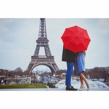 Картина по номерам Рыжий кот, 30х40 см, с акриловыми красками, холст, "Пара в Париже"