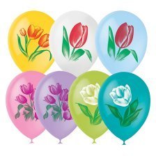 Воздушные шары М12"/30 см Пастель+Декоратор (раст) 1 ст.2 цв. рис "Тюльпаны" 25 шт.  шар латекс